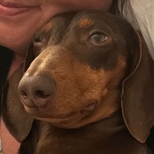 Meet your Posher, Katelyn